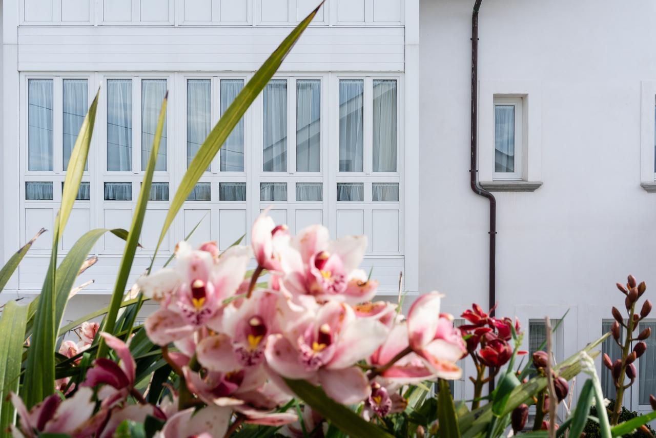 La Casa De Las Camelias Busto Екстериор снимка
